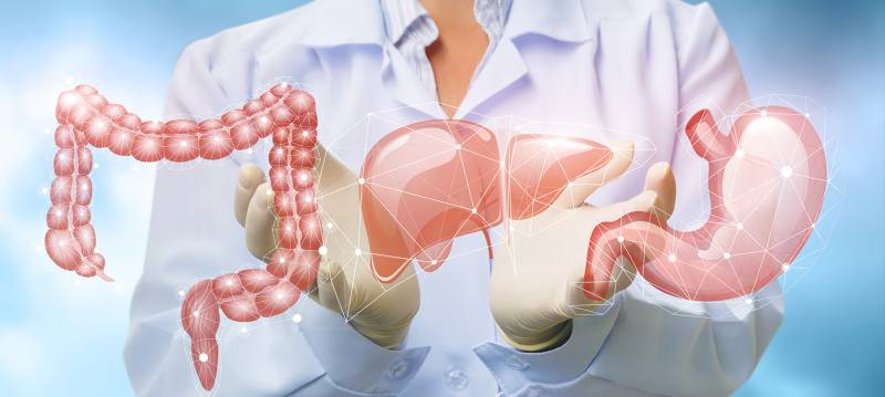 Protégez l'Avenir des Gastro-Entérologues à Pau avec le Contrat de Prévoyance SwissLife en Partenariat avec Gabriel Assurance